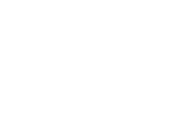 VISION