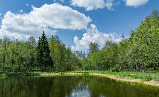 КП Нордик Лэнд
