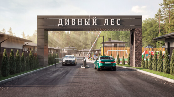 Дивный Лес