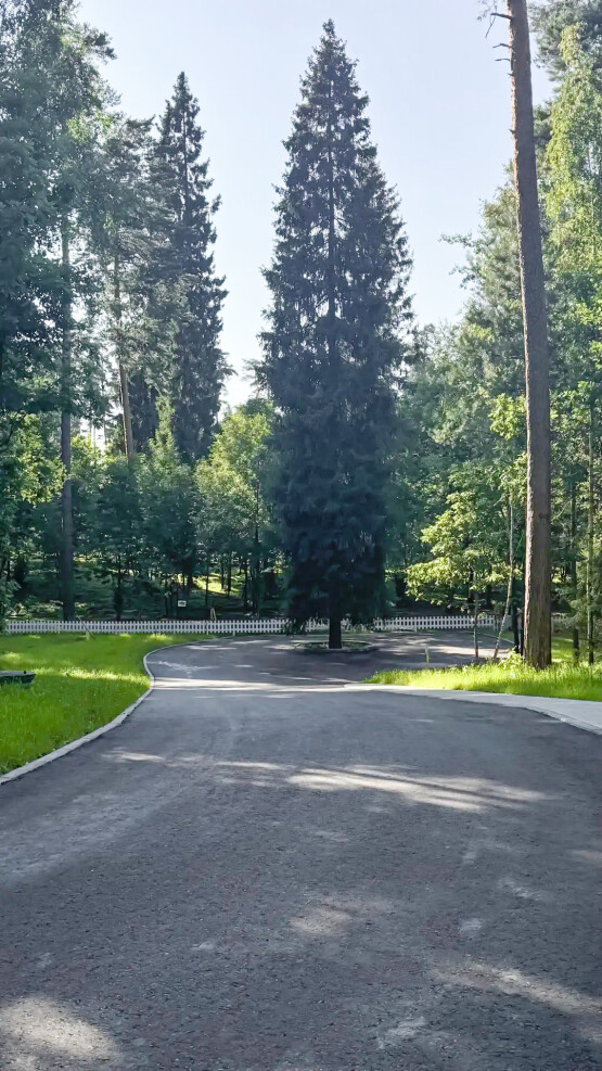 Лес Иславское