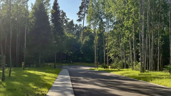 Лес Иславское