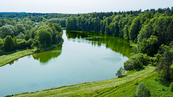 Shelkovo Eco Club