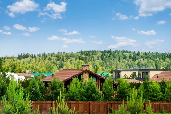 Green Forest Club