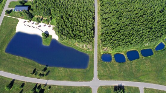 Green Forest Club
