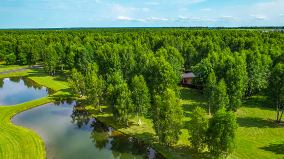 Green Forest Club